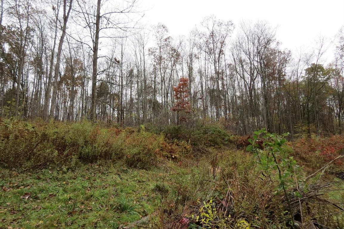 457 State Highway 8, Mount Upton, NY 13809 Zillow