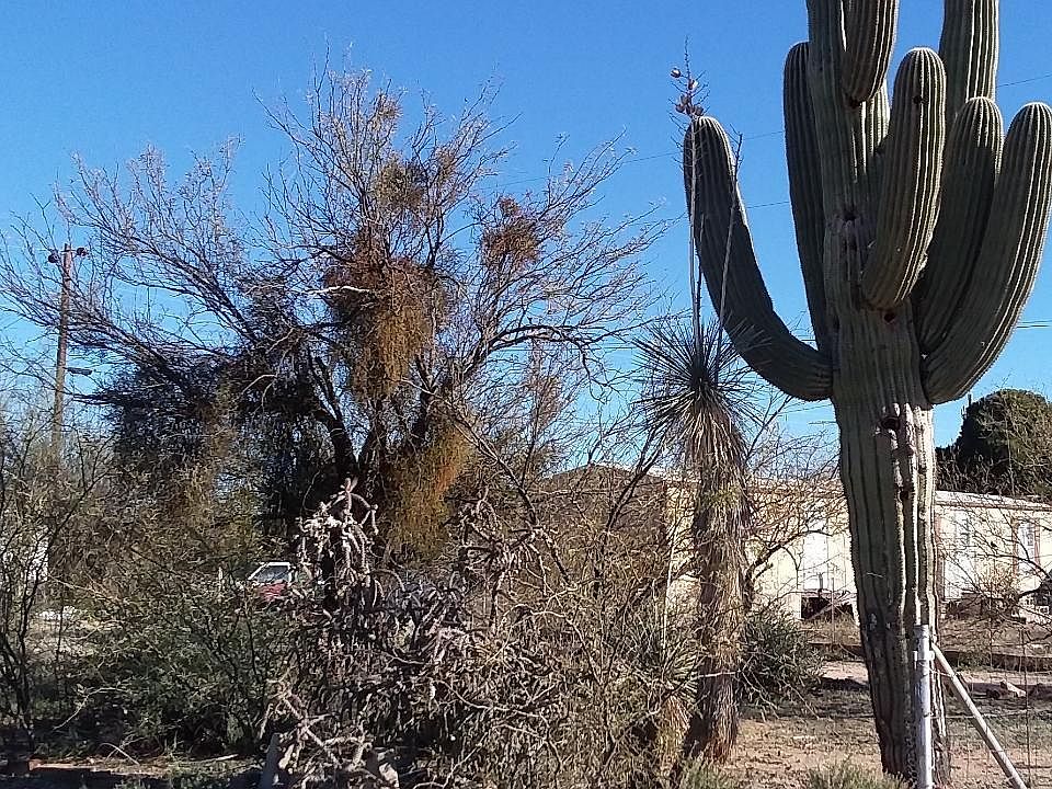 1st image of 9405 S Vann Dr #8