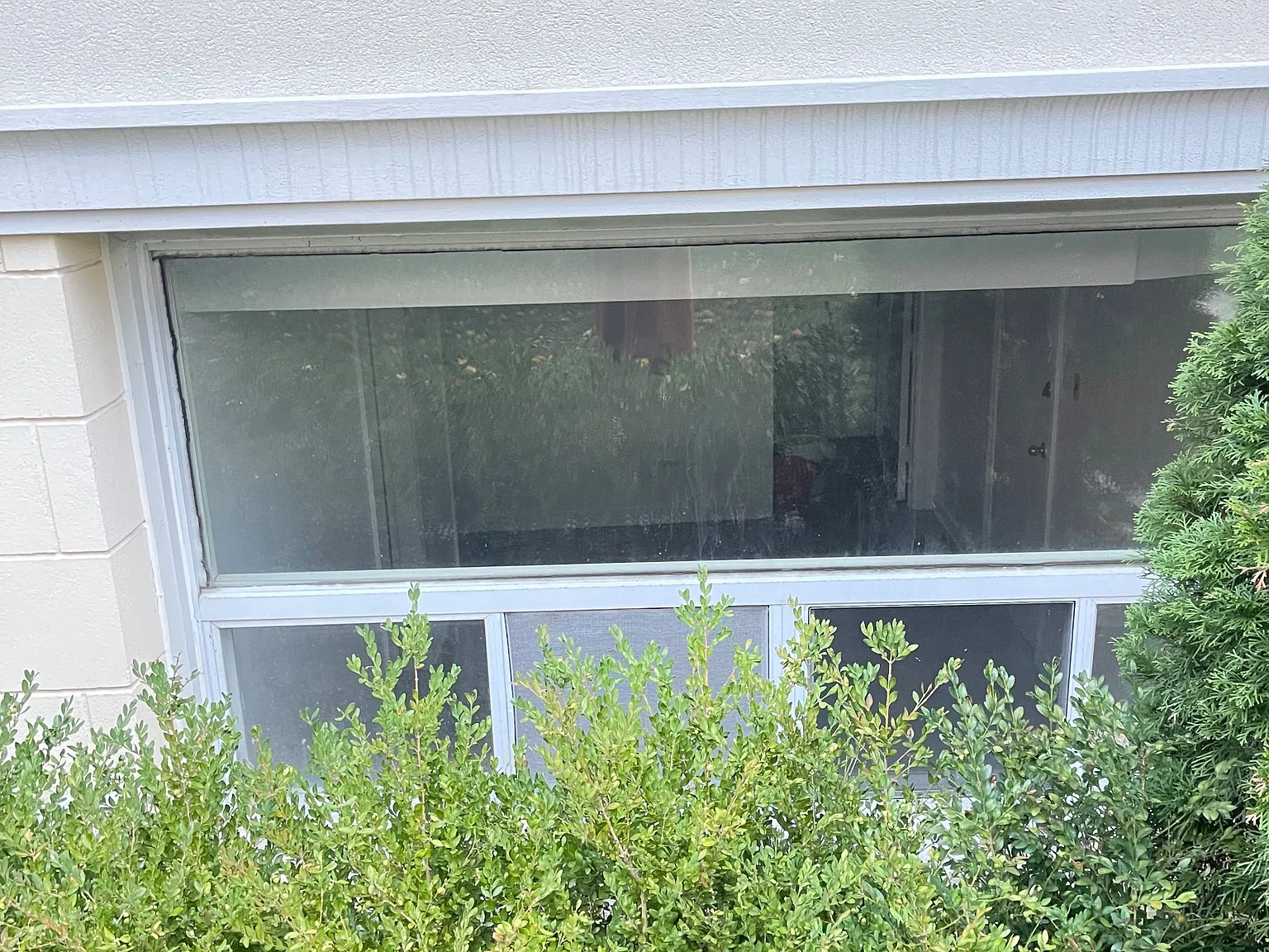 1 bed, $1,850 — Photo 3