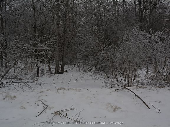 2nd image of 0 Sucie Rd