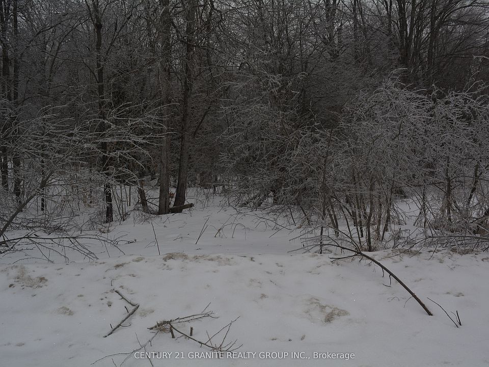 2nd image of 0 Sucie Rd