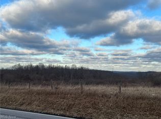 72062 Freeport Rd, Piedmont, OH 43983