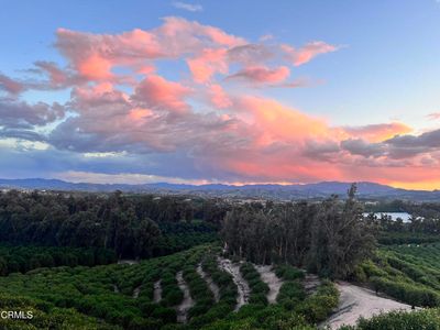 8332 Shekell Rd, Moorpark, CA, 93021