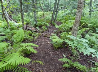 12780 N Vanderhagen Rd, Ironwood, MI 49938