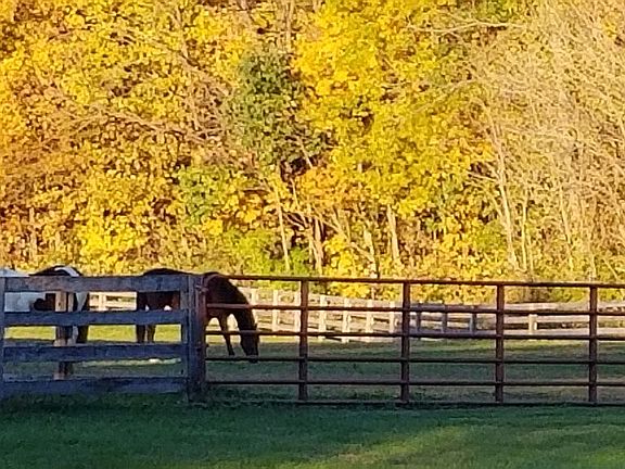 5th image of 6214 E County Road 700 S