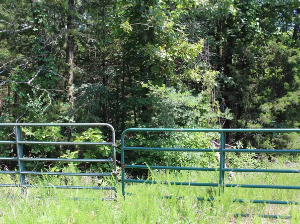 Lots 17&18 Mc #8126, Flippin, AR 72634