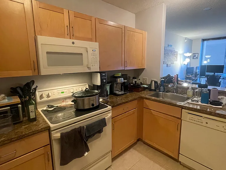 222 N Columbus Dr #2907 — Photo 2