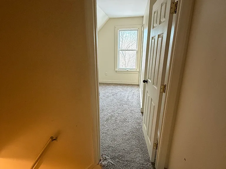 1.5 Forest St #1.5 — Photo 20