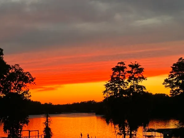 1176 Lesesne Dr, Manning, SC 29102