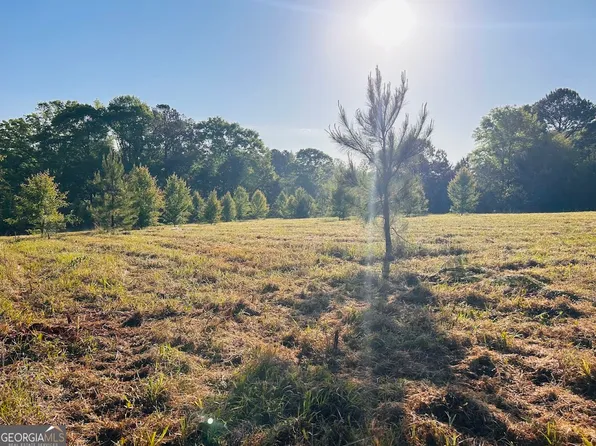 0 Collier Rd Tract 1, Concord, GA 30206