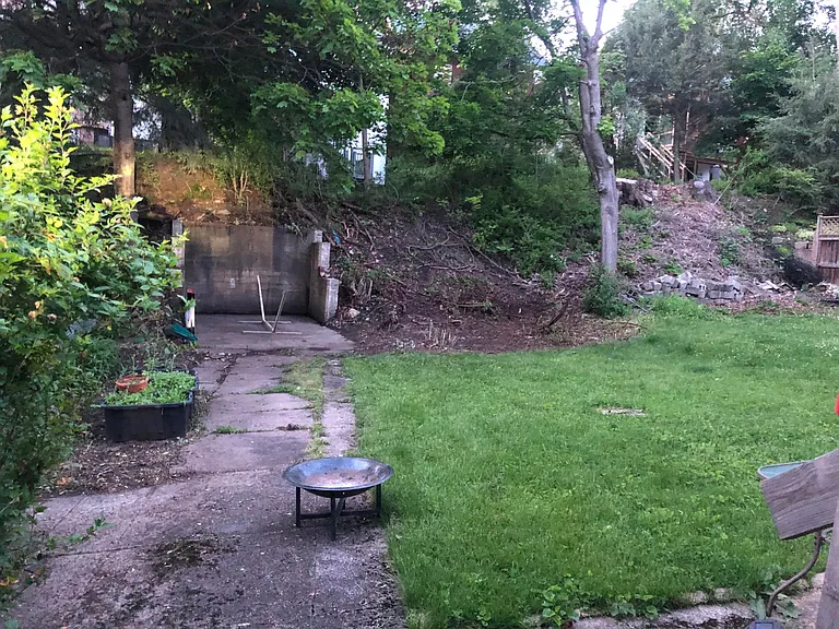 Shared back yard