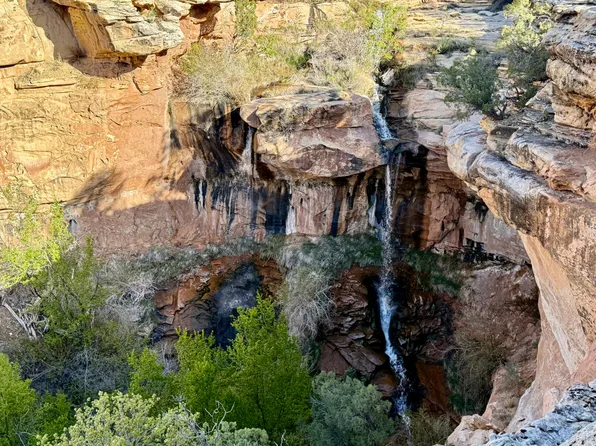 X4 Road, Bedrock, CO 81411