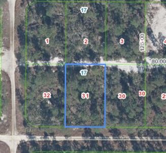 556 Parakeet Ave Lot 31, Sebring, FL, 33872