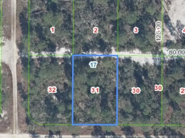 556 Parakeet Ave Lot 31, Sebring, FL 33872