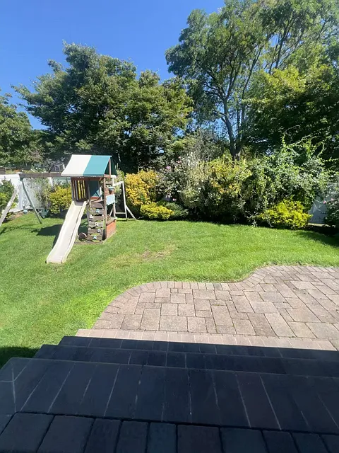 3 bed, 1634 sqft, $5,600 — Photo 3