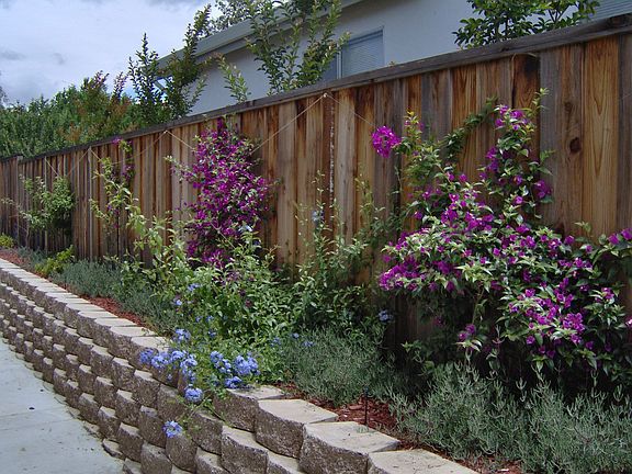 Colorful Yard