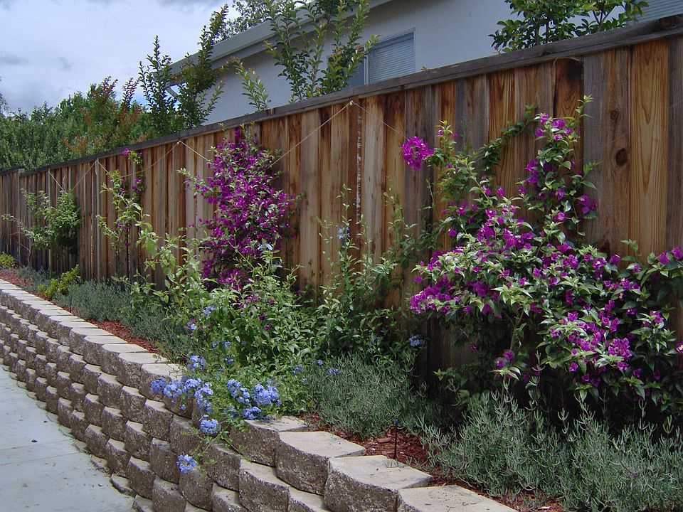 Colorful Yard