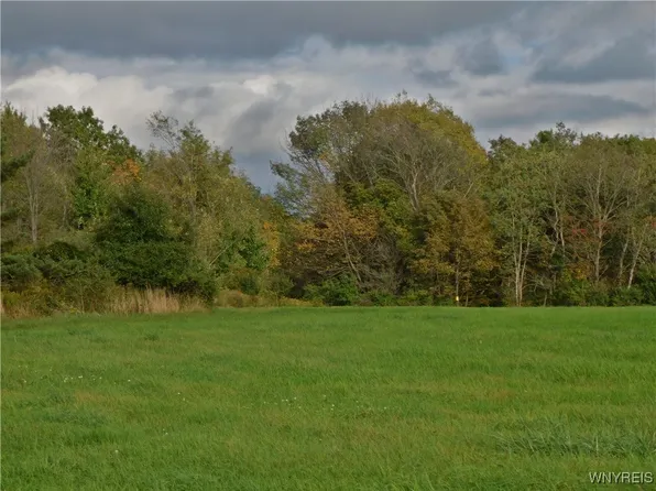 0 Mount Monroe Rd #30, Cuba, NY 14727