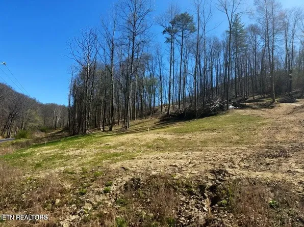 Demory Rd, Lafollette, TN 37766