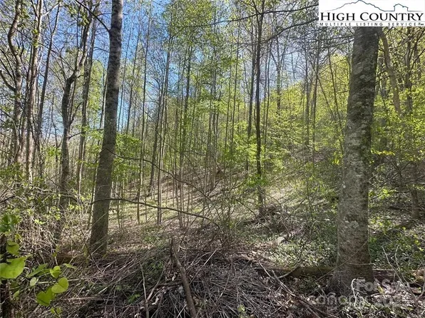 Quail Hollow Rd #27, Jefferson, NC 28640