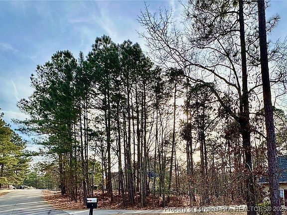 3rd image of 56 Lotus Ln