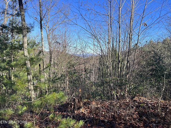2nd image of 79 Long Rifle Rd Lot 79W