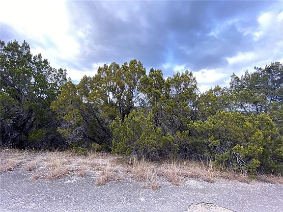 3rd image of 7017 Live Oak Dr
