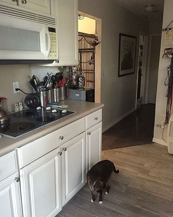 1st image of 4081 Almond Ave