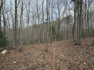 TRACT B2 Mountain St, Blue Ridge, GA 30513