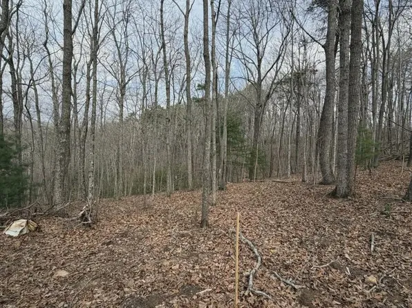 TRACT B2 Mountain St, Blue Ridge, GA 30513