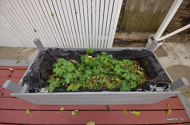 Rented by Swythe, Inc. | media 21