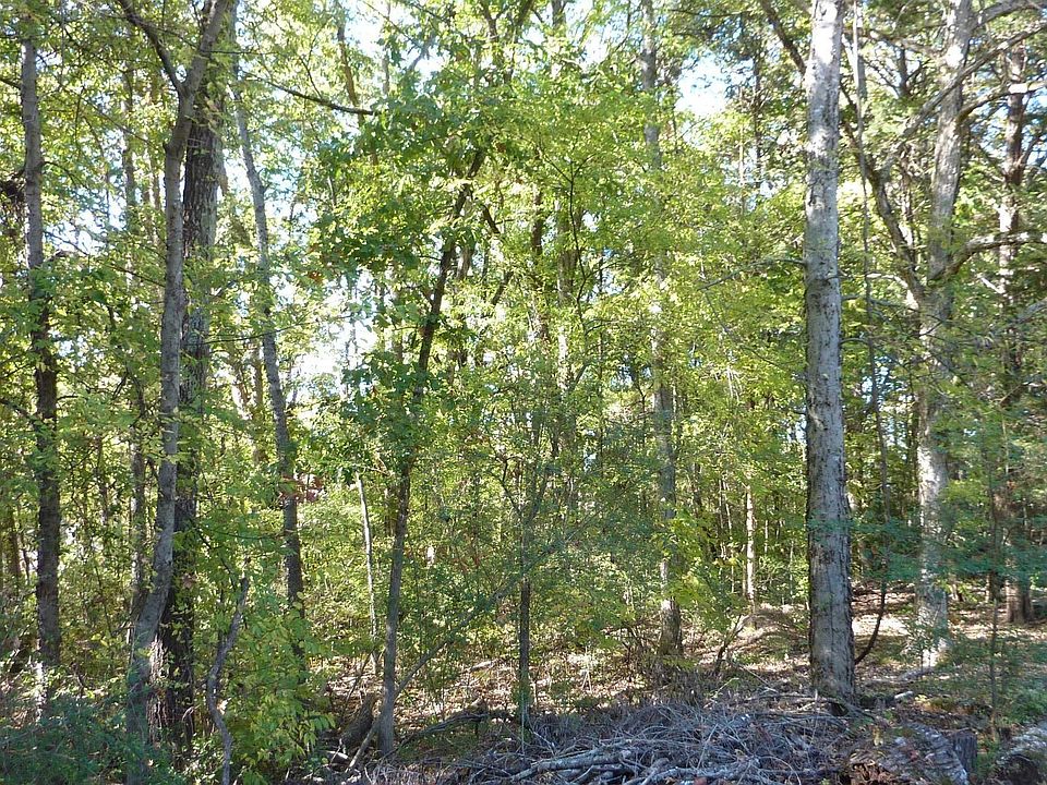 2nd image of 1 Vestavia Dr SW