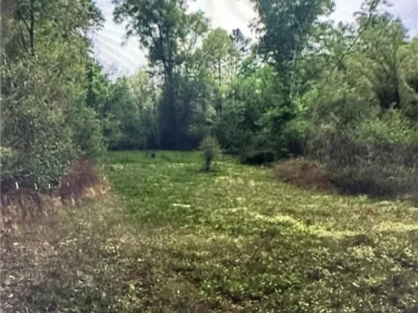 0 Cripple Creek Rd, Berry, AL 35546