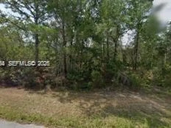 6182 N Buckland Dr, Citrus Springs, FL 34434