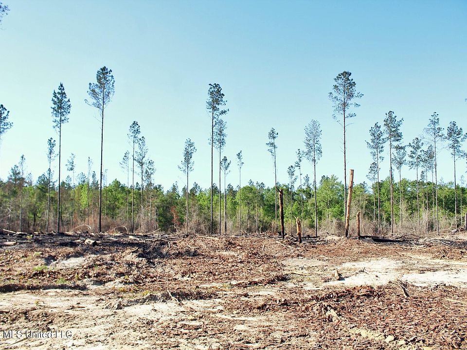 1st image of Little Cedar Rd Lot 15