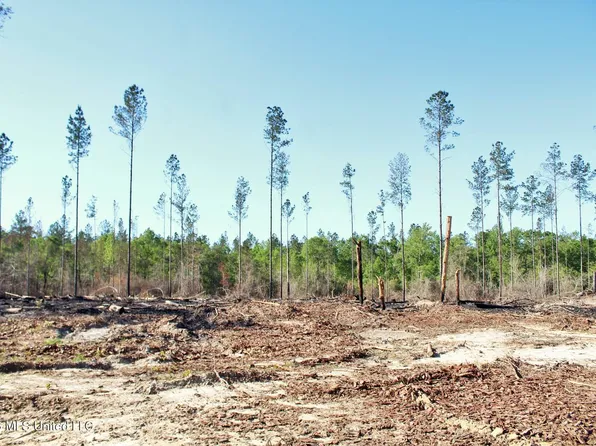 Little Cedar Rd Lot 15, Lucedale, MS 39452
