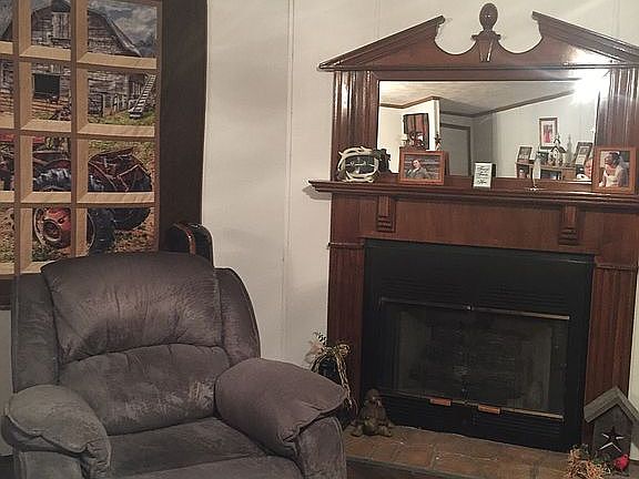 Fireplace gas logs or wood 