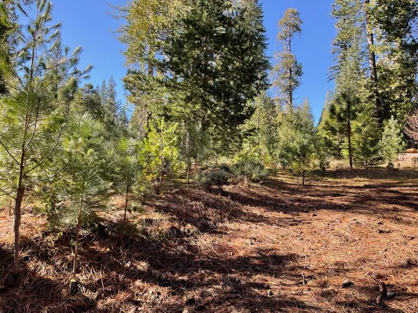 1192 Moran Rd, Arnold, CA 95223