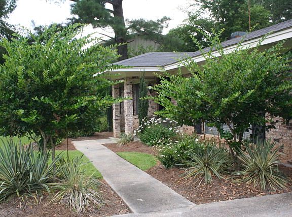 2nd image of 505 Oakwood Dr