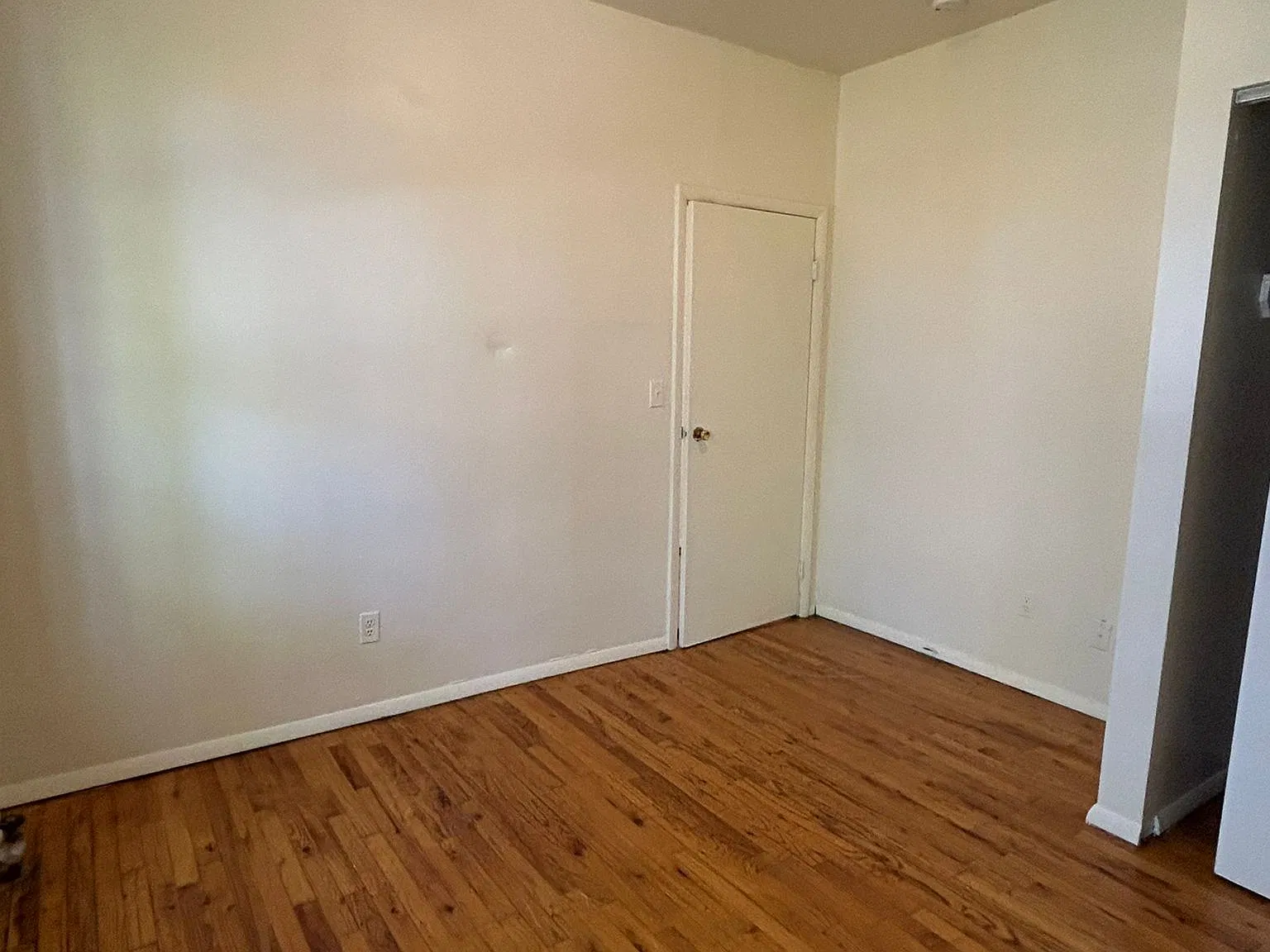 33 Storms Ave — Photo 4