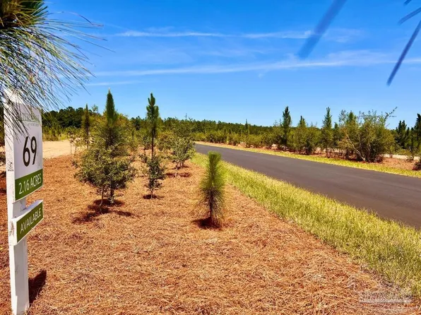 69 Naturewalk Dr N, Milton, FL 32571