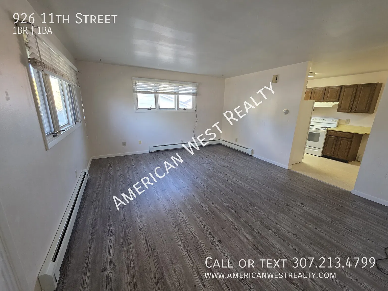 Large 1 Bedroom apartment — Photo 3