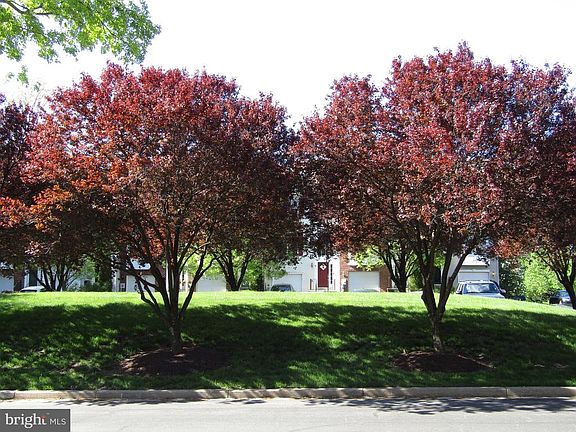 Your Morning Coffee View!!!