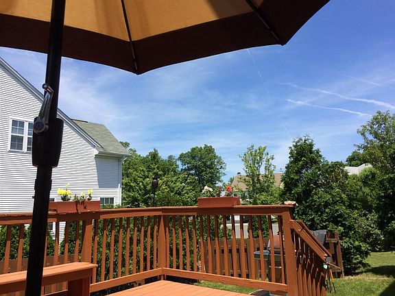 Back Yard View 1