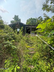 1232 Shelby St, Bristol, TN, 37620