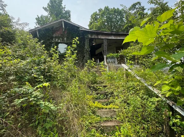 1232 Shelby St, Bristol, TN 37620