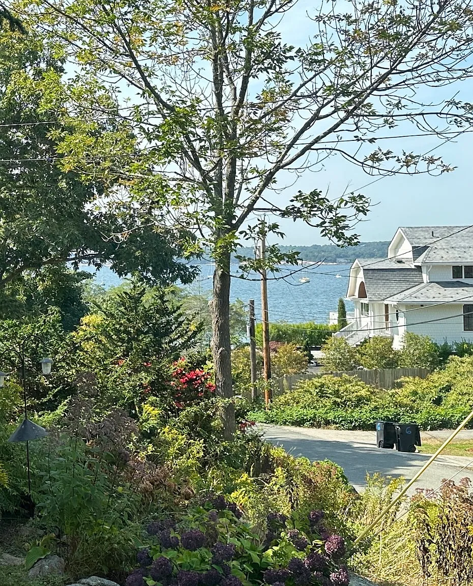 2 bed, 1.5 bath, 1100 sqft, $3,200 — Photo 3