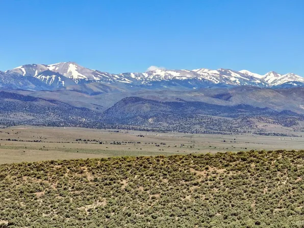 4255 Bosler Way, Wellington, NV 89444