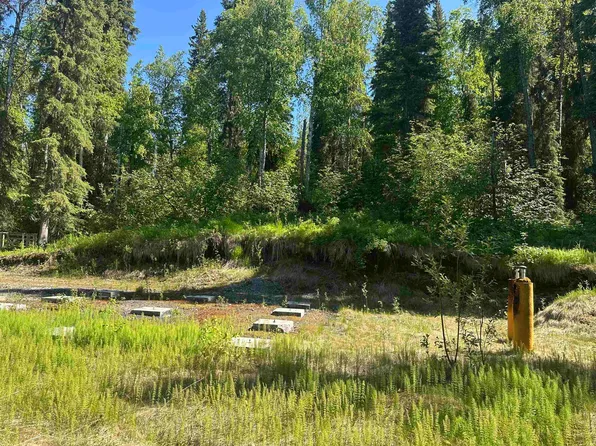 2133 Cripple Creek Rd, Fairbanks, AK 99709