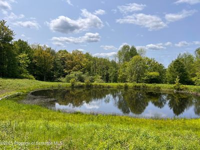 809 Thorn Hill Rd, Thompson, PA, 18465